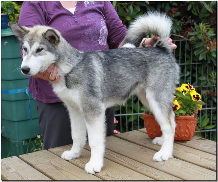 Onni 6-2010 3.jpg